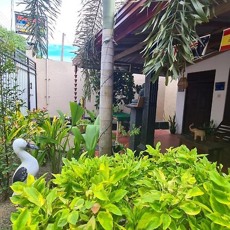 Kavidi Villa Home Stay Tangalle Exterior foto